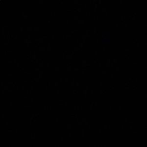 Meet your Posher, Walter